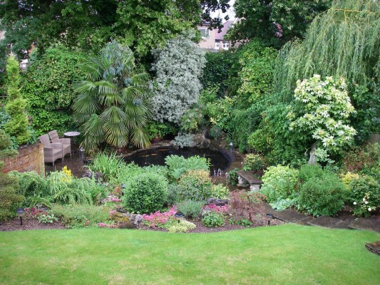 backgarden.JPG