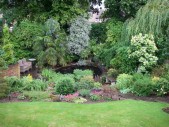 backgarden.JPG