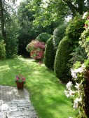front_garden_summer.JPG